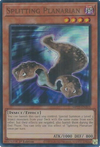 46b06dd82086b28f7a159d46626fbbc3