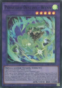 Yu-Gi-Oh! TCG: Possessed Destiny - Wynn (CORI)