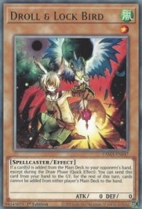 Yu-Gi-Oh! TCG: Droll & Lock Bird (V.1) (TAMA)