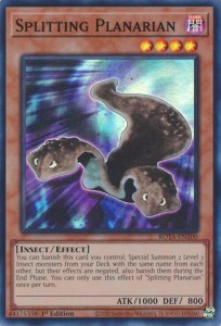Yu-Gi-Oh! TCG: Splitting Planarian (ROTA)