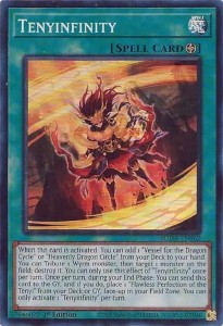 Yu-Gi-Oh! TCG: Tenyinfinity (SUDA)